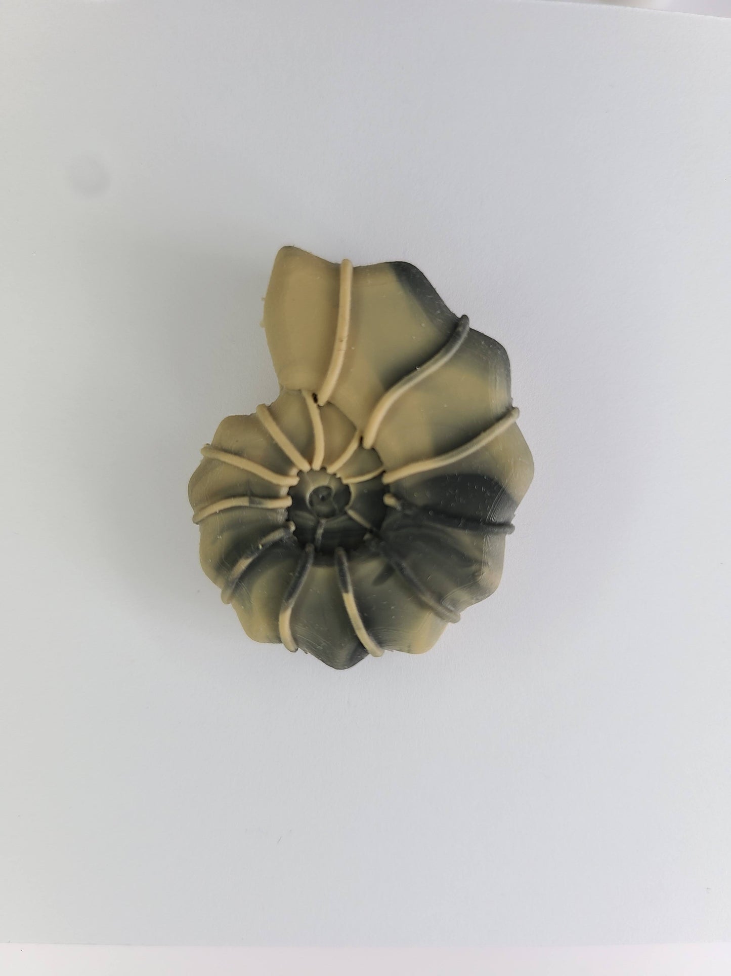 Ammonite Shell Pendant