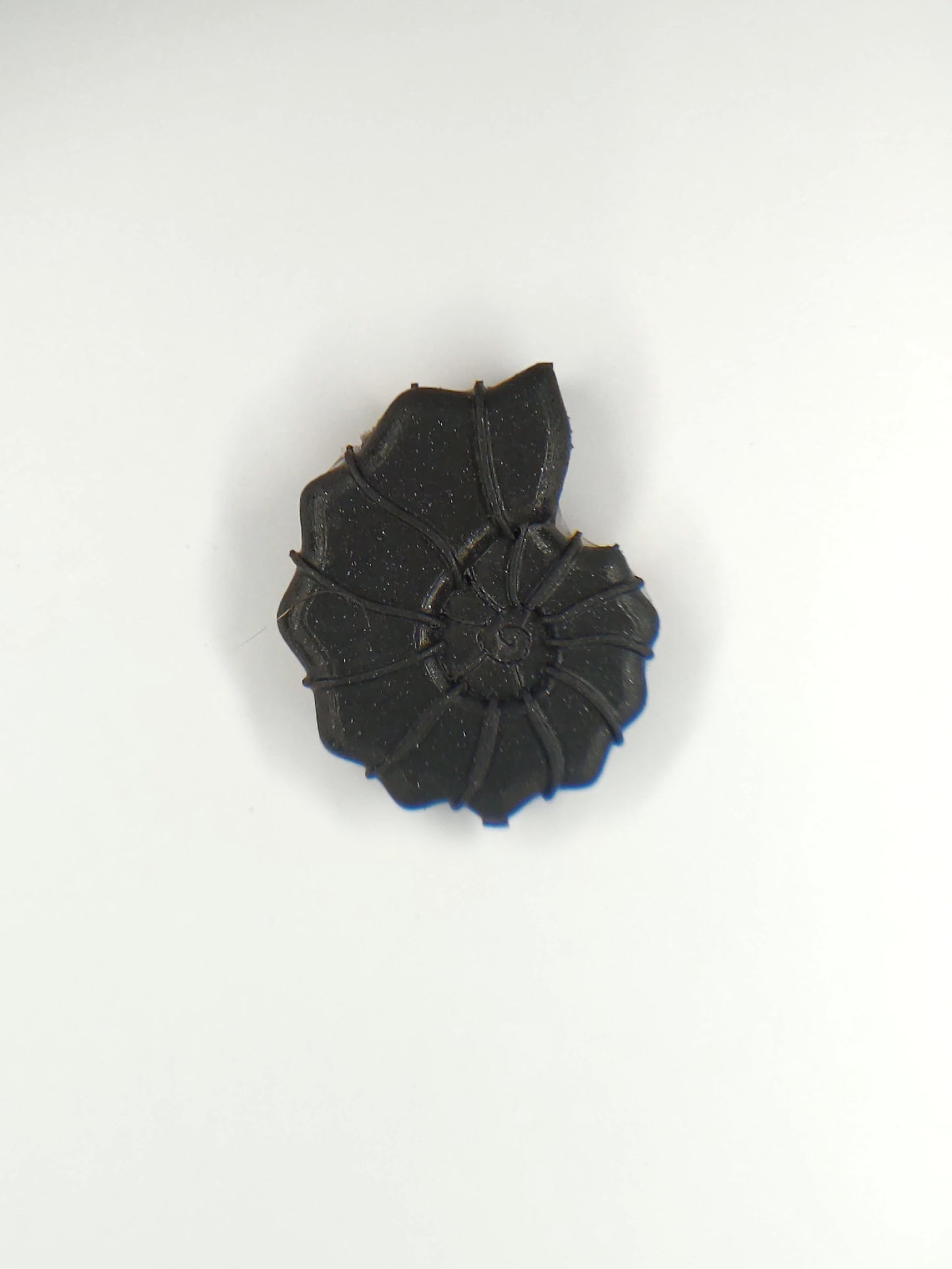 Ammonite Shell Pendant