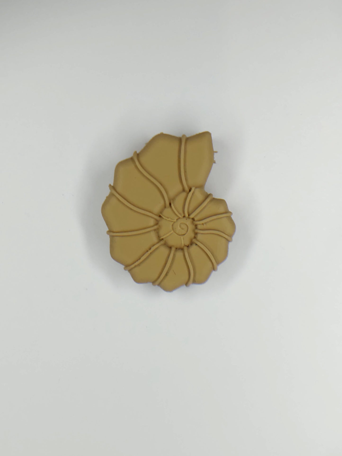 Ammonite Shell Pendant