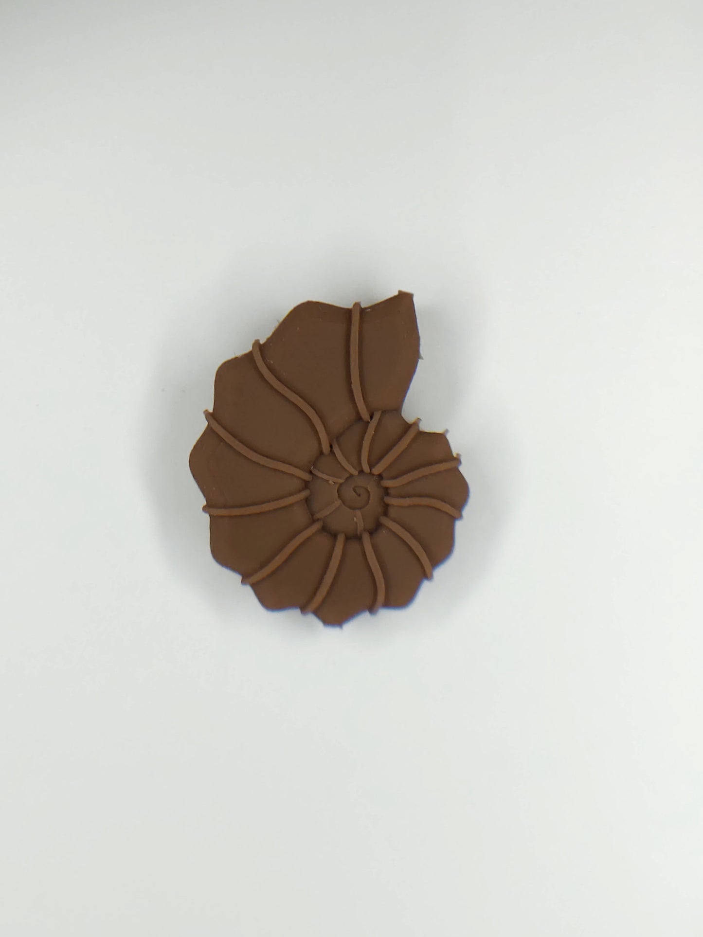 Ammonite Shell Pendant