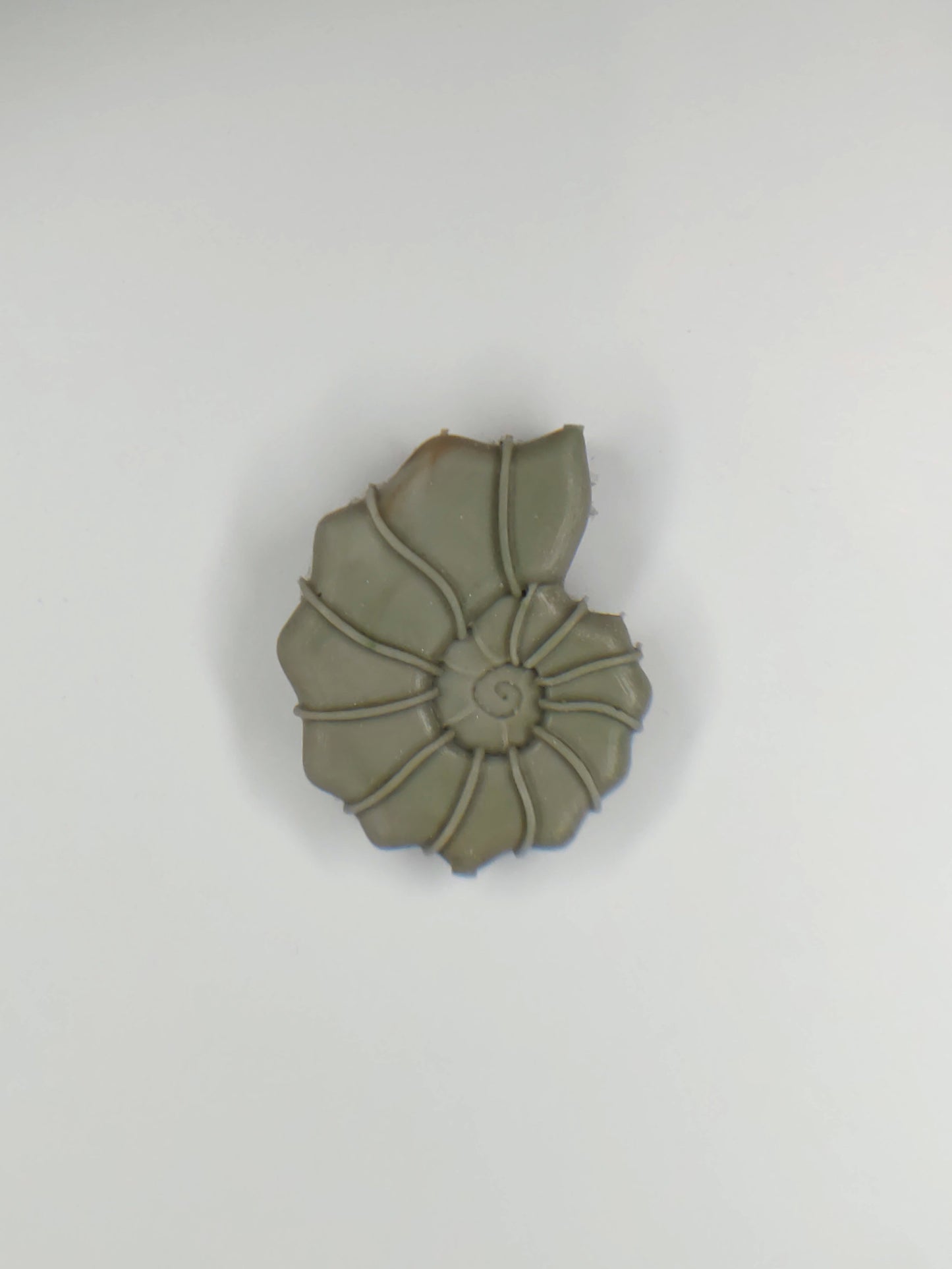 Ammonite Shell Pendant