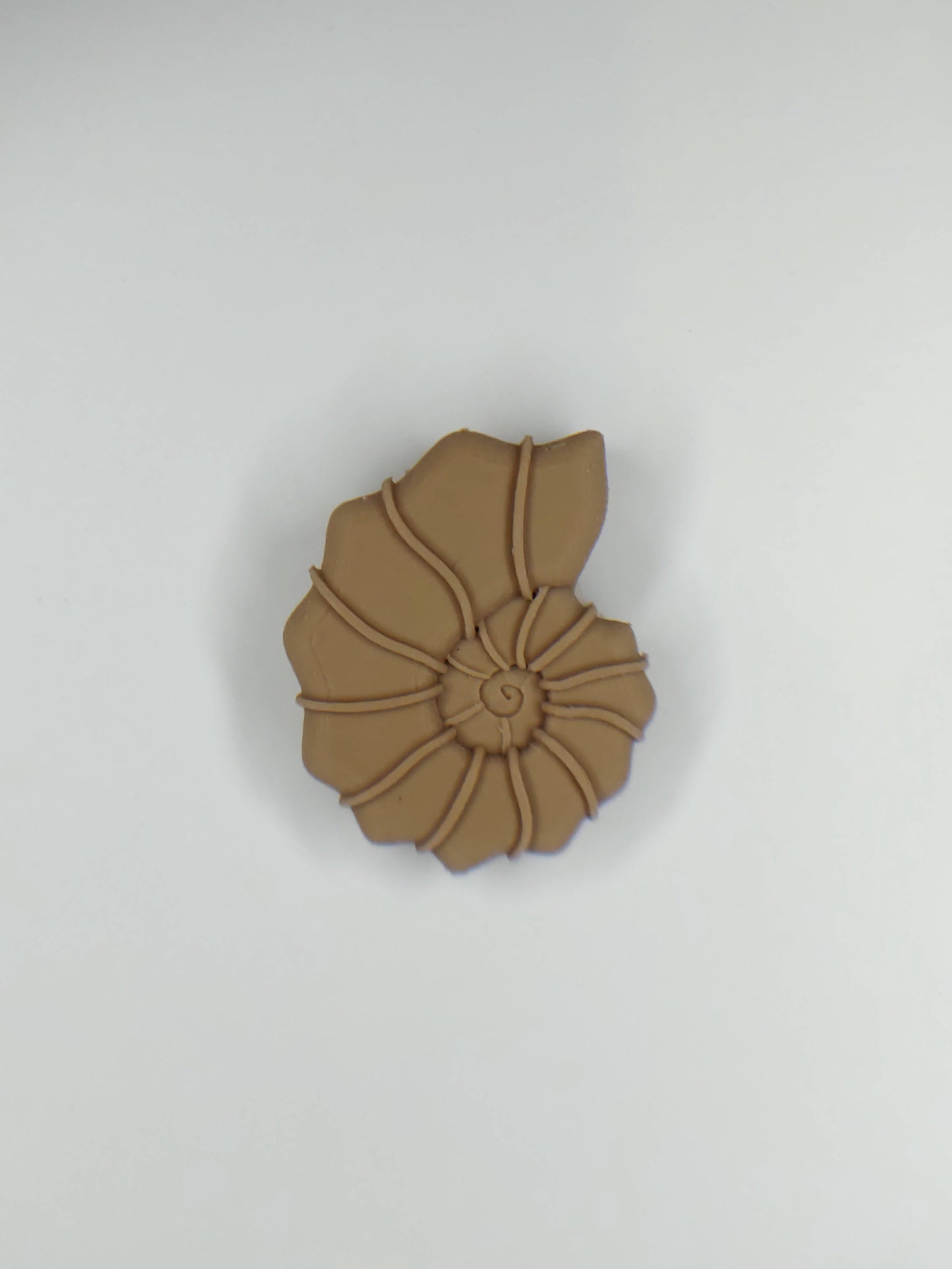 Ammonite Shell Pendant