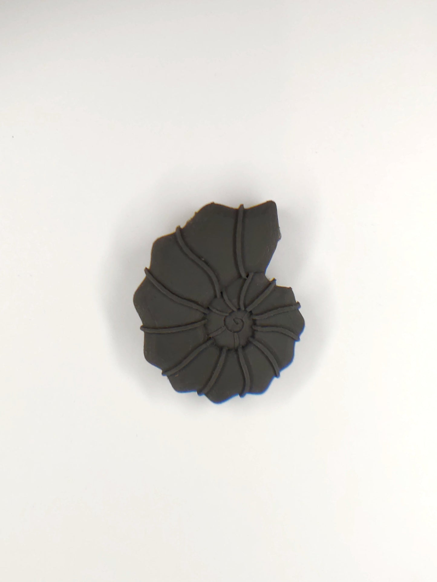 Ammonite Shell Pendant